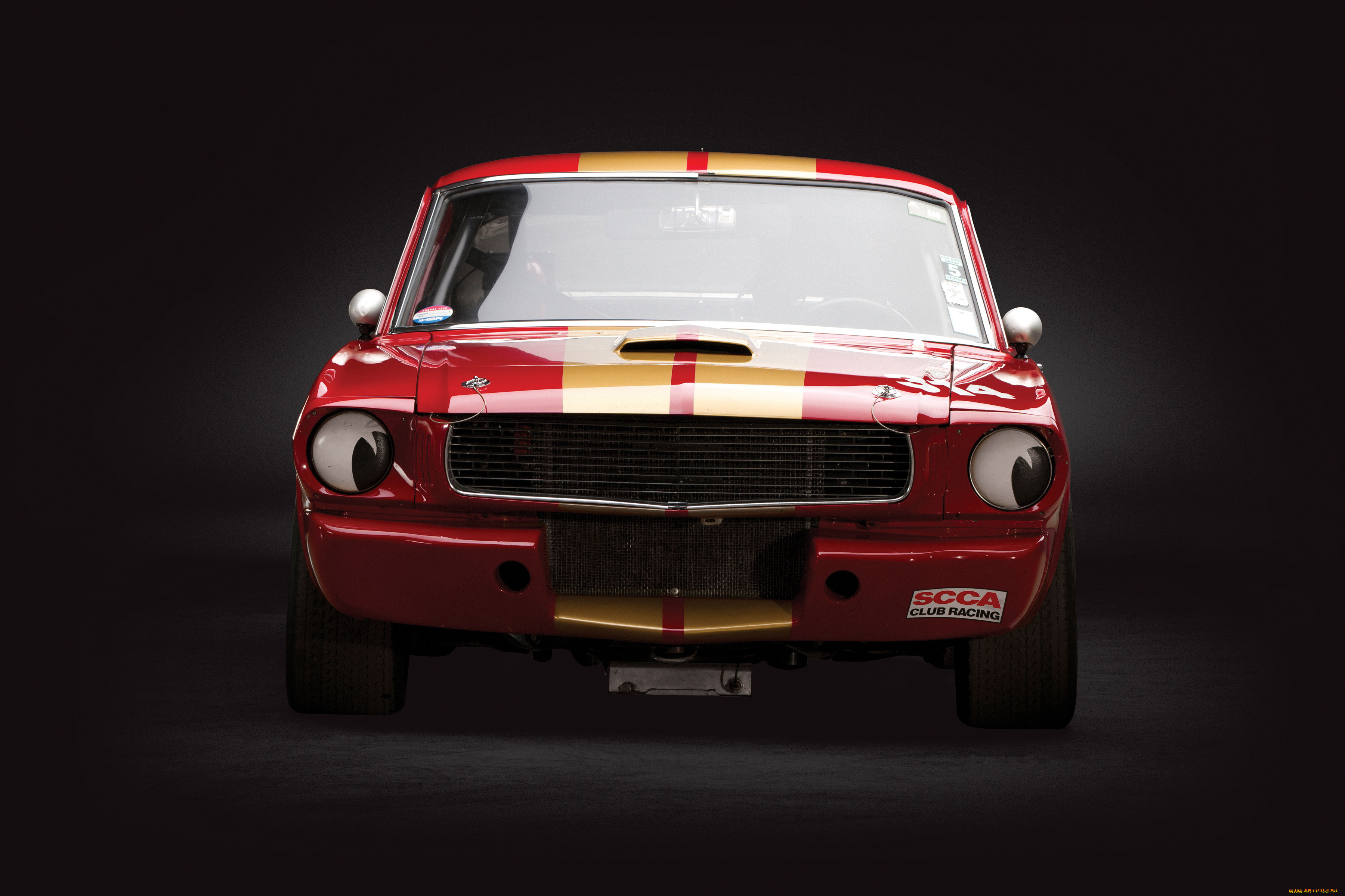 , mustang